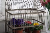 Kovová dekoračná klietka 40x27x44cm