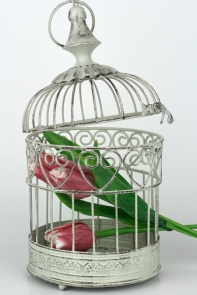 Kovová klietka biela 14x28cm