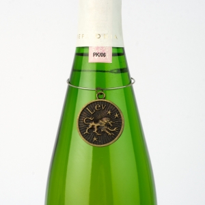 Kovový amulet znamenia Lev 24.7 - 22.8