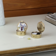 Krabička na lieky guľatá vtáčik