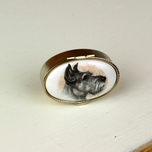 Krabička na lieky ovál pes