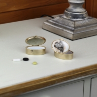 Krabička na lieky ovál pes