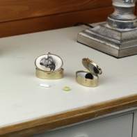 Krabička na lieky ovál pes