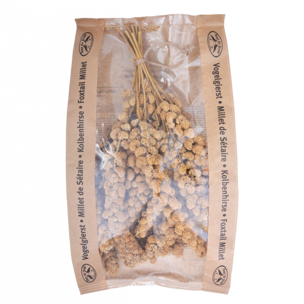 Kŕmenie pre vtáctvo zväzok prosa