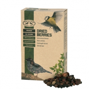 Kŕmenie pre vtáky 0,25 kg 12,5 x 6,5 x 20,4 cm sušené bobule