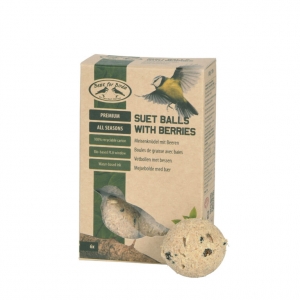 Kŕmenie pre vtáky 6 ks 10,7 x 5,5 x 17,7 cm lojové gule s bobuľami