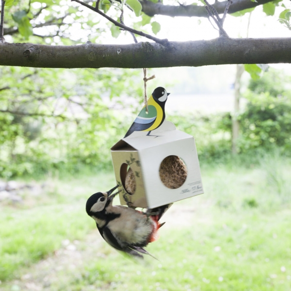 Krmítko pre vtáky lepenkové závesné s veľkou lojovou guľou 10 x 10 x 16 cm sýkora koňadra 