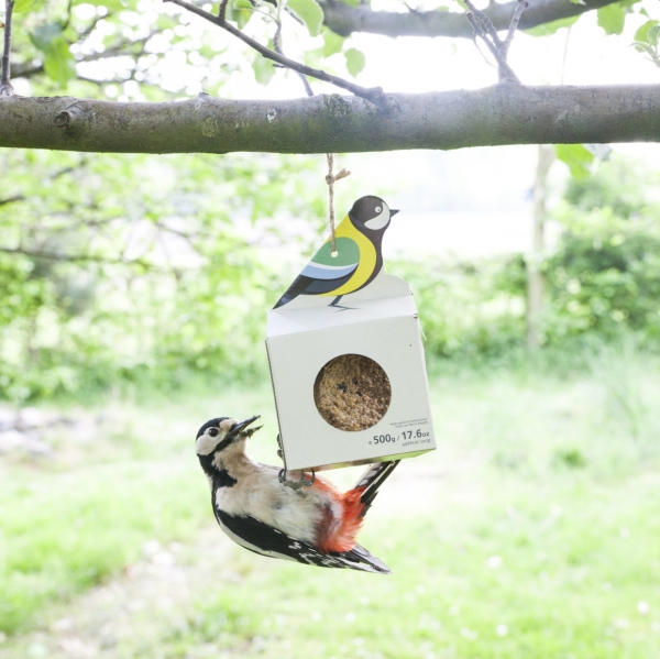 Krmítko pre vtáky lepenkové závesné s veľkou lojovou guľou 10 x 10 x 16 cm sýkora modřinka