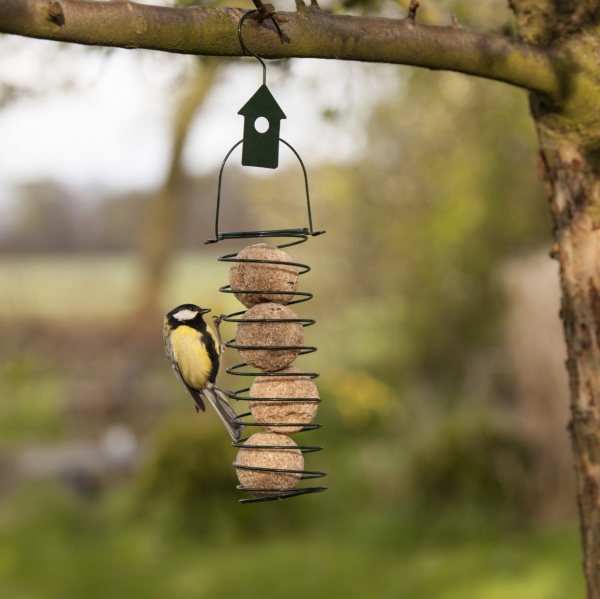 Kŕmidlo pre vtáky motív vtáčia búdka