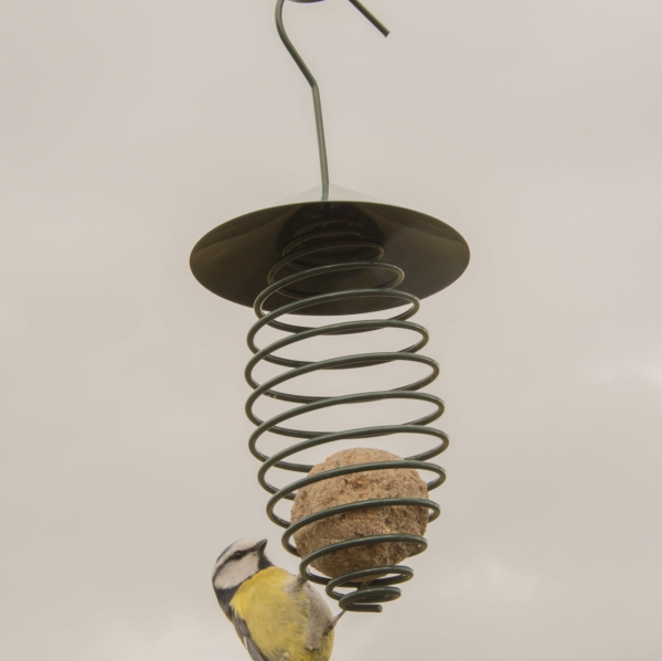 Kŕmidlo pre vtáky na lojové gule so strechou tmavo zelené