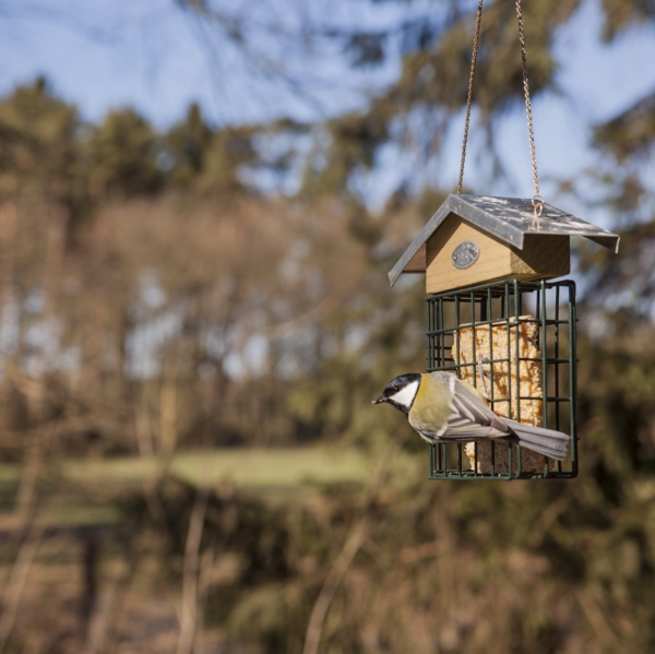Krmítko pre vtaky na lojové blok