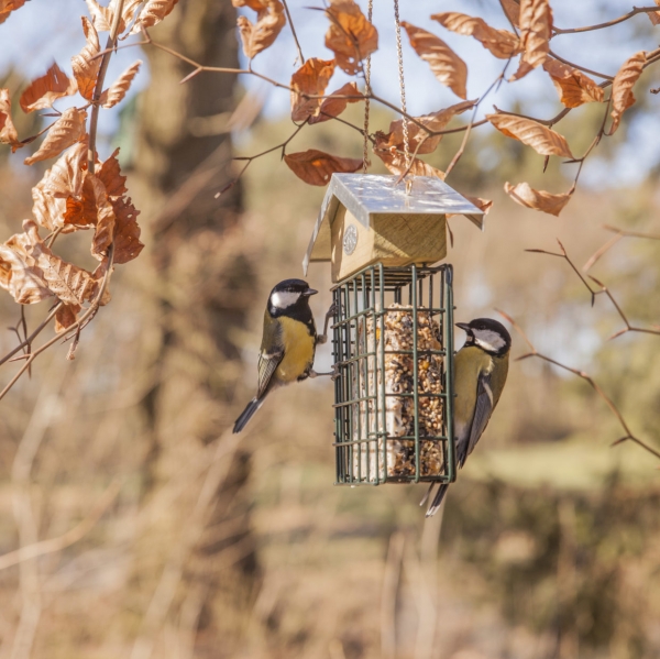Krmítko pre vtaky na lojové blok