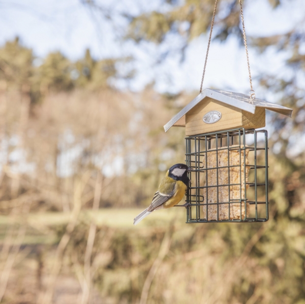 Krmítko pre vtaky na lojové blok