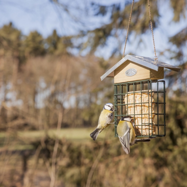 Krmítko pre vtaky na lojové blok