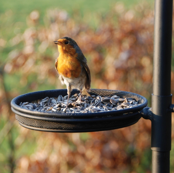 Kŕmna stanica pre vtáky 75 x 75 x 300 cm kovová