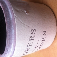 Kvetináč Flowers  Garden 16x14x16 cm - puklina v glazúre