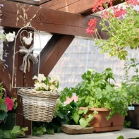 Kvetináč na stenu z vŕbového prútia 51cm