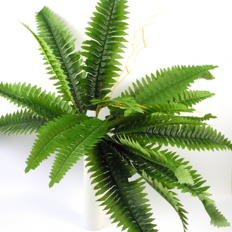 Kvetiny - papradie priemer 40cm, výška 45cm