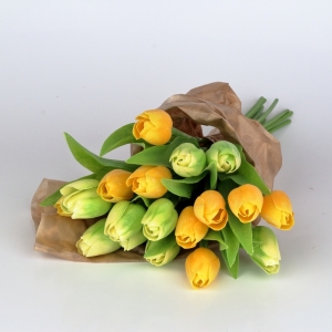 Kytica tulipánov žlté / zelené 17ks