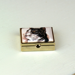 Liekovka čiernobiela mačka