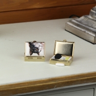 Liekovka čiernobiela mačka