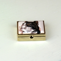 Liekovka čiernobiela mačka