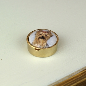 Liekovka pes jorkšír guľatá