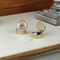 Liekovka pes jorkšír guľatá