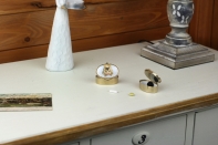 Liekovka pes Yorkshirský teriér