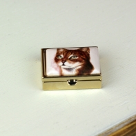 Liekovka s mačičkou obdĺžnik