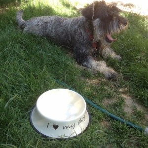 Miska pre psa I Love My Dog smalt 24cm