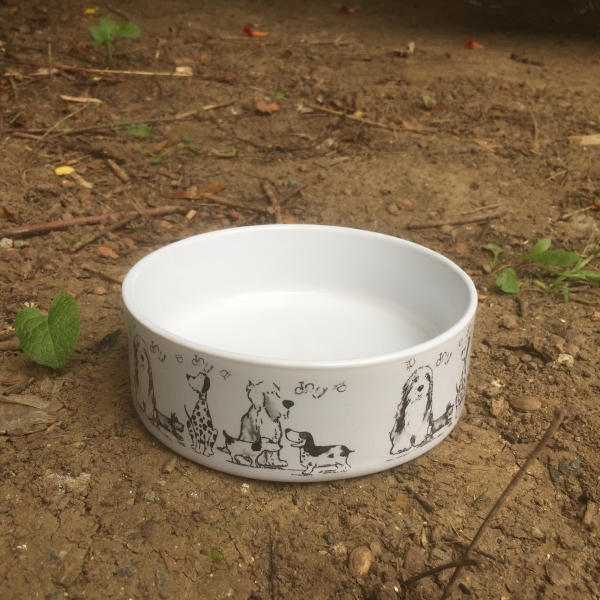 Miska pre stredne veľkého psa