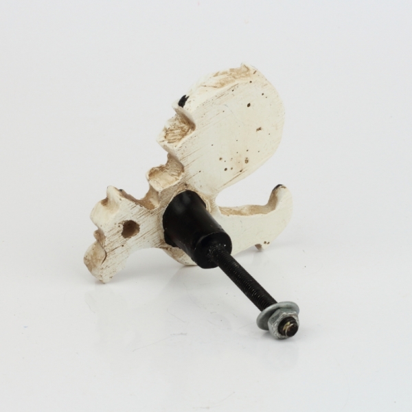 Nábytková úchytka biely kohút v ošarpanej vzhľade 6x6cm
