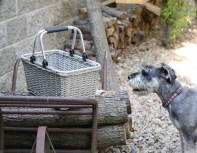 Nákupný košík 47x24x27cm