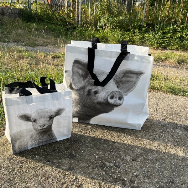 Nákupná taška s jahniatkom 24,5 x 10 x 24,5 cm