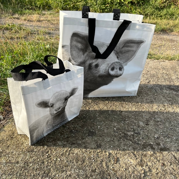 Nákupná taška s jahniatkom 24,5 x 10 x 24,5 cm