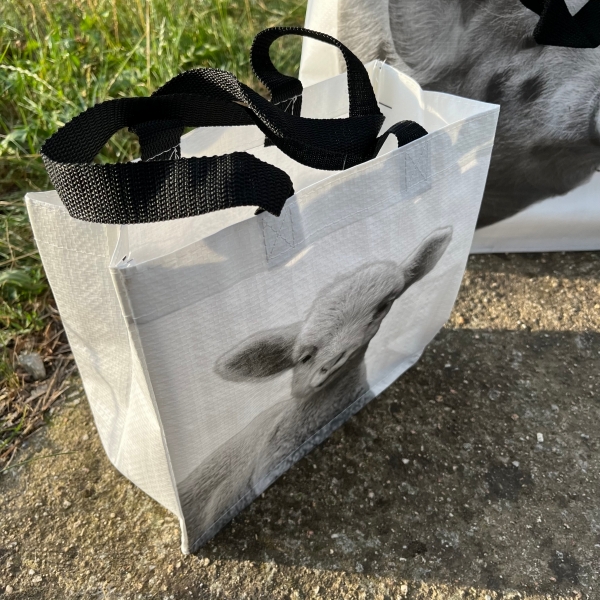 Nákupná taška s prasiatkom 24,5 x 10 x 24,5 cm