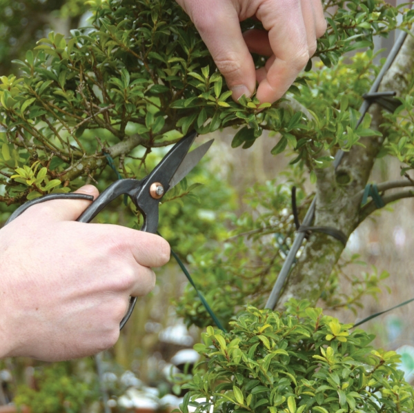 Nožnice na bonsai 8,7 x 1,8 x 18,3 cm oceľové
