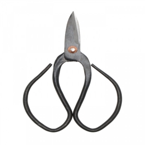 Nožnice na bonsaje 12 cm