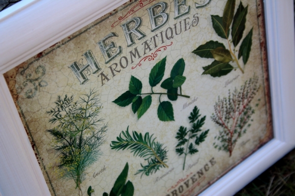 Obraz Herbes Aromatiques biely rám 38x37cm