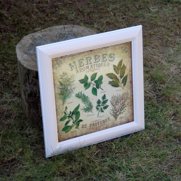 Obraz Herbes Aromatiques biely rám 38x37cm