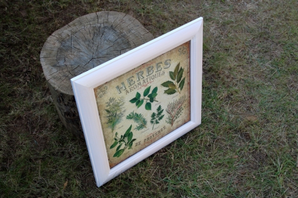 Obraz Herbes Aromatiques biely rám 38x37cm