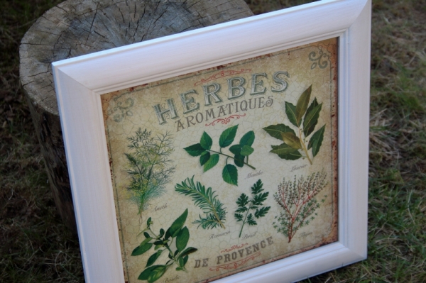 Obraz Herbes Aromatiques biely rám 38x37cm
