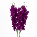 Orchidea červená 54cm