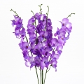 Orchidea fialová 54cm