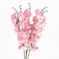 Orchidea ružová 54cm