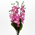 Orchidea Lila 73cm