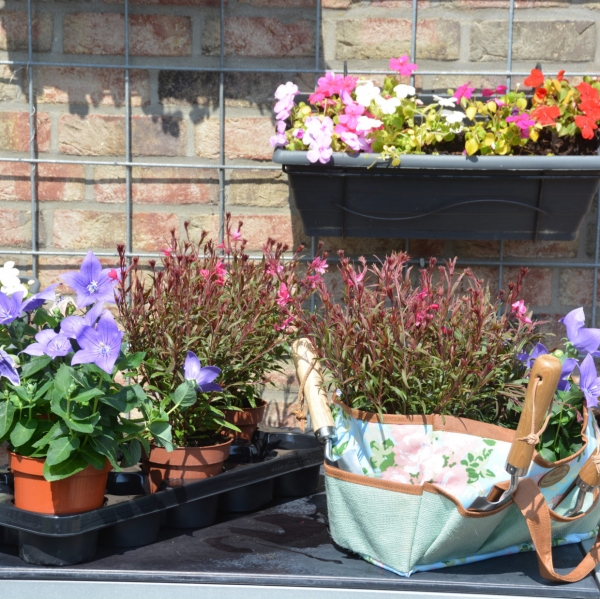 Organizér na záhradné náradie s potlačou ruží 34,5 x 16,5 x 19,5 cm taška