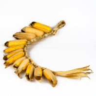 Ovocie kukuričný cop 24 kusov 