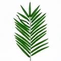 Palmový list 66cm